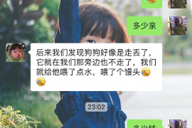 老河口老河口的要账公司在催收过程中的策略和技巧有哪些？